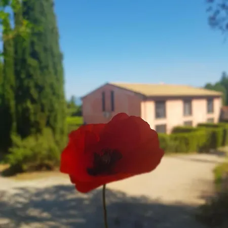 Agriturismo Cipollone Farma