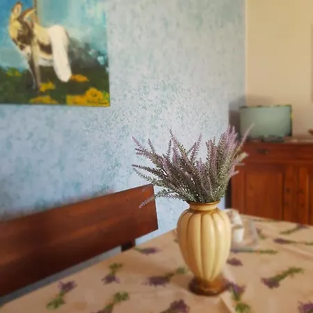Agriturismo Cipollone Farma